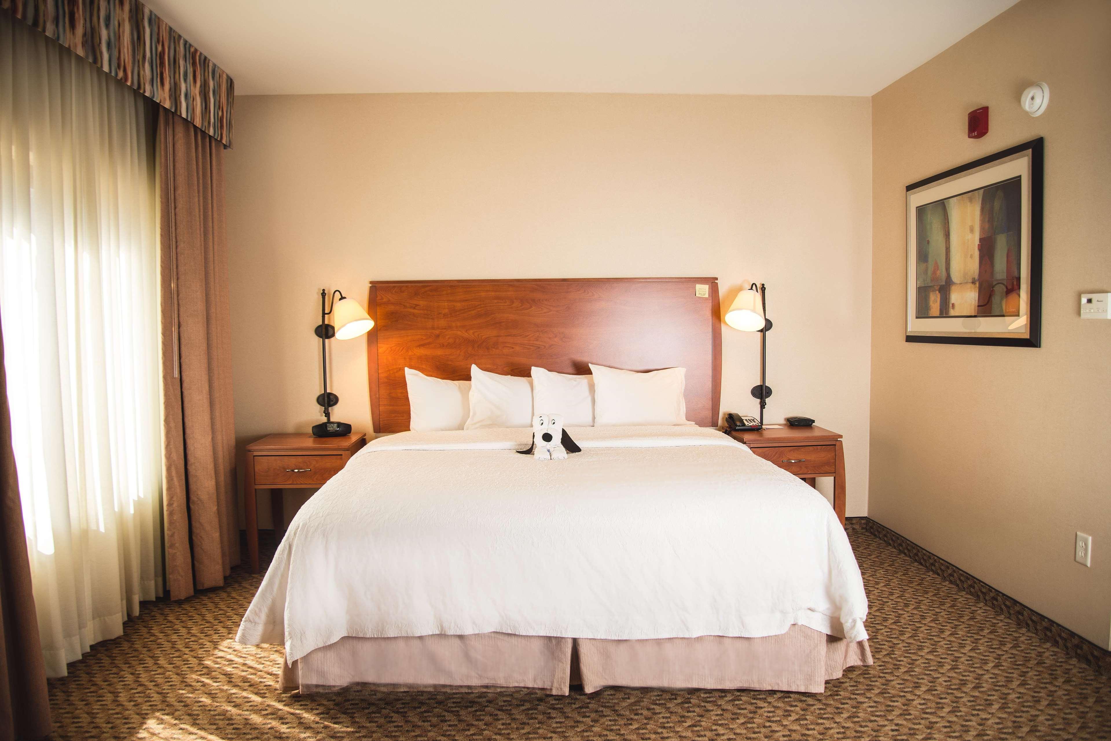 Hampton Inn & Suites Greeley Extérieur photo