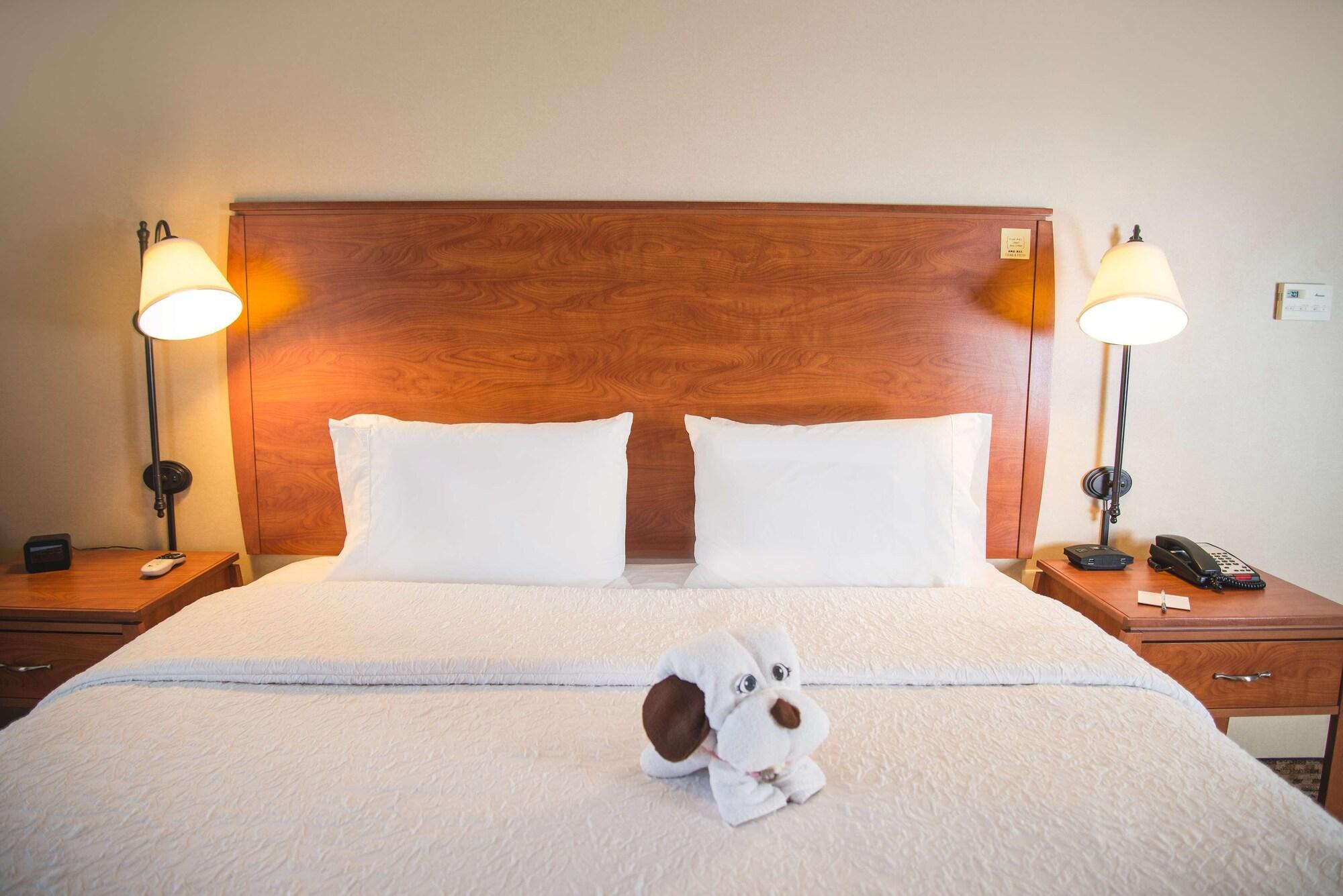 Hampton Inn & Suites Greeley Extérieur photo